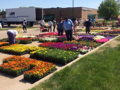 Shoppers browse through a flower sale in Oak Park, Michigan.