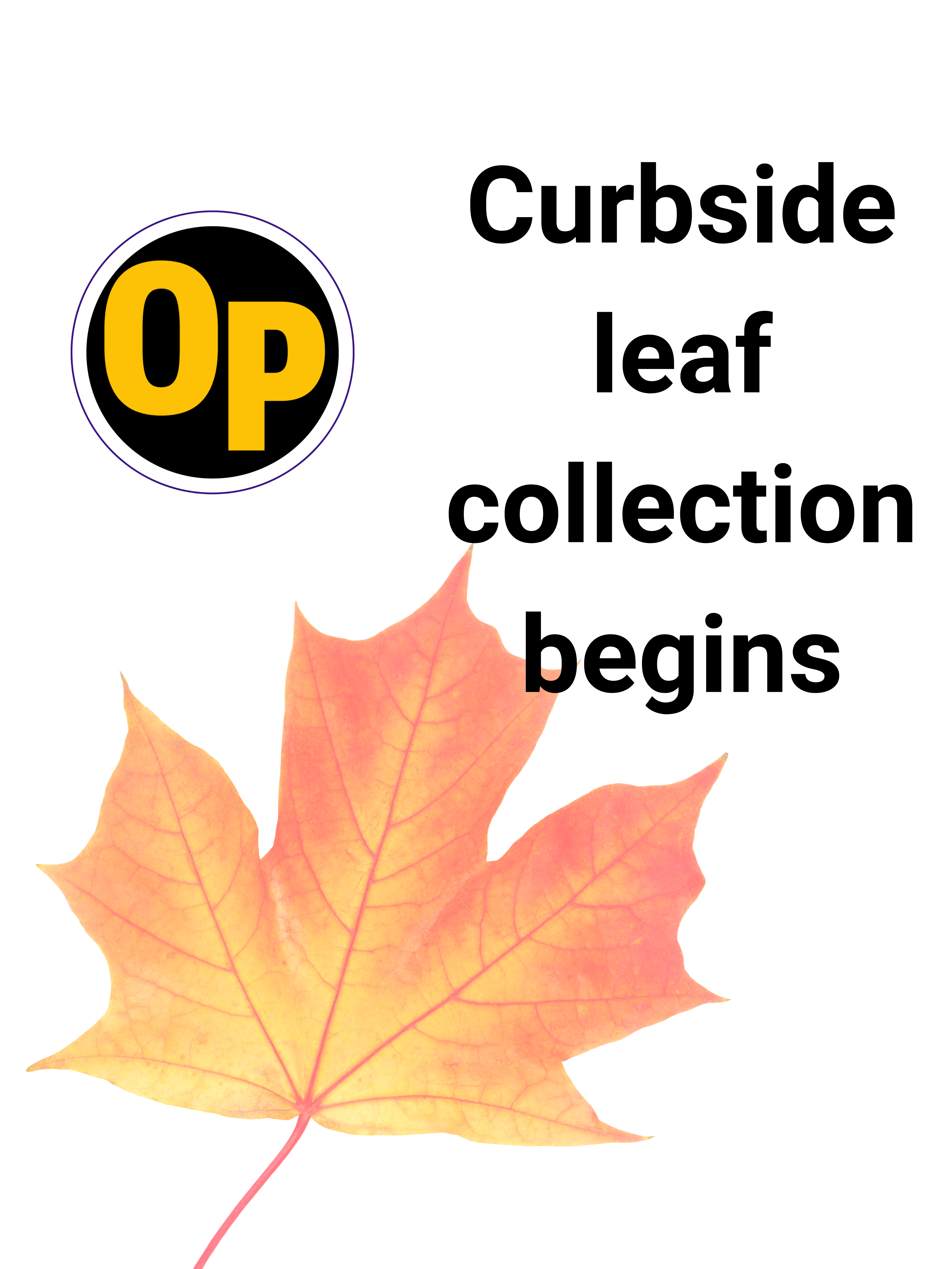 A graphic of a maple leaf with the words Curbside leaf collection begins.
