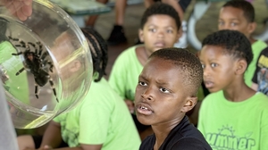 A group of boys stare intently at a turantula inside a see-through case.